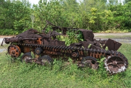 Black-Pearl-Explorer-Pelilu-Land-Tours-01737