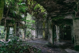 Black-Pearl-Explorer-Pelilu-Land-Tours-01751