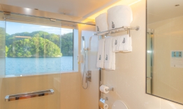 Master Seaview Stateroom Bathroom