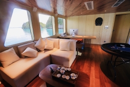 Black Pearl Explorer entertainment room