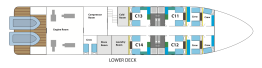 BMEX-Lower-deck BMEX-Lower-deck