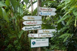 Saba 07