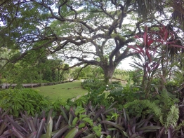 SabaStKittsLandTour_RHuber5