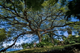 St. Kitts 08