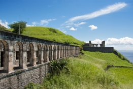 St. Kitts 20