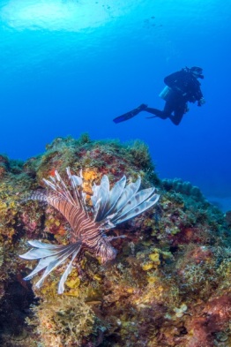 1_Explorer-Ventures-Caribbean-Explorer-II-Saba-St-Kitts-Didier-STM_4443