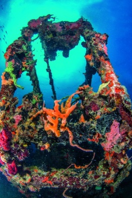 1_Explorer-Ventures-Caribbean-Explorer-II-Saba-St-Kitts-Didier-STM_4988