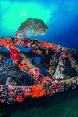 1_Explorer-Ventures-Caribbean-Explorer-II-Saba-St-Kitts-Didier-STM_5016