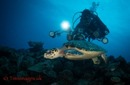 CEX2_TGurney_Timsimages.uk_TG51847