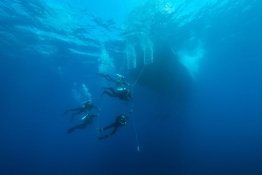 Divers-on-hangline-Saba-Caribbean-Explorer-2-Explorer-Ventures-Liveaboard-Diving