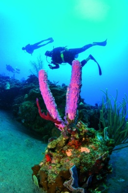 Explorer-Ventures-Caribbean-Explorer-II-Saba-St-Kitts-Didier-STM_3910