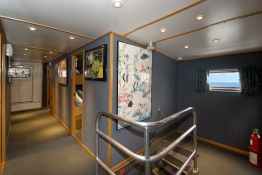 Hallway-Caribbean-Explorer-2-Explorer-Ventures-Liveaboard-Diving