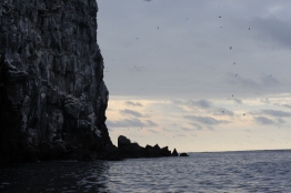 Cliff-view-Humboldt-Explorer-Tiburon-Galapagos-Explorer-Ventures-Liveaboard-Diving
