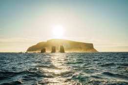 Darwin-Island_Humboldt-Tiburon-Explorer-Galapagos-Explorer-Ventures-Liveaboard-Diving