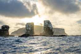 Darwin-Pilars2_Humboldt-Tiburon-Explorer-Galapagos-Explorer-Ventures-Liveaboard-Diving