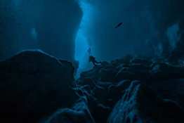 Wolf-Cave5_Humboldt-Tiburon-Explorer-Galapagos-Explorer-Ventures-Liveaboard-Diving