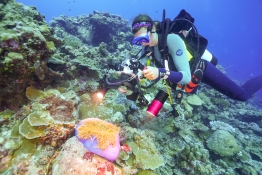 Black-Pearl-Explorer-People-Diving-02225