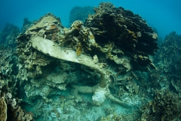 Wreckage from a plane in Palau