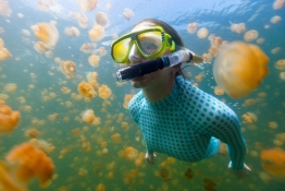 Woman Swimming at Jellyfish Lake