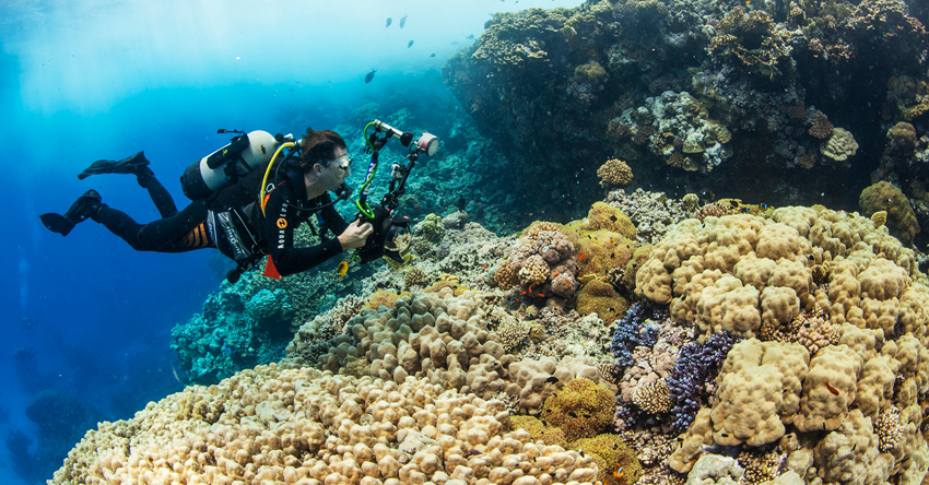 Red Sea Liveaboard Diving | Explorer Ventures Fleet® RedSea_UW13