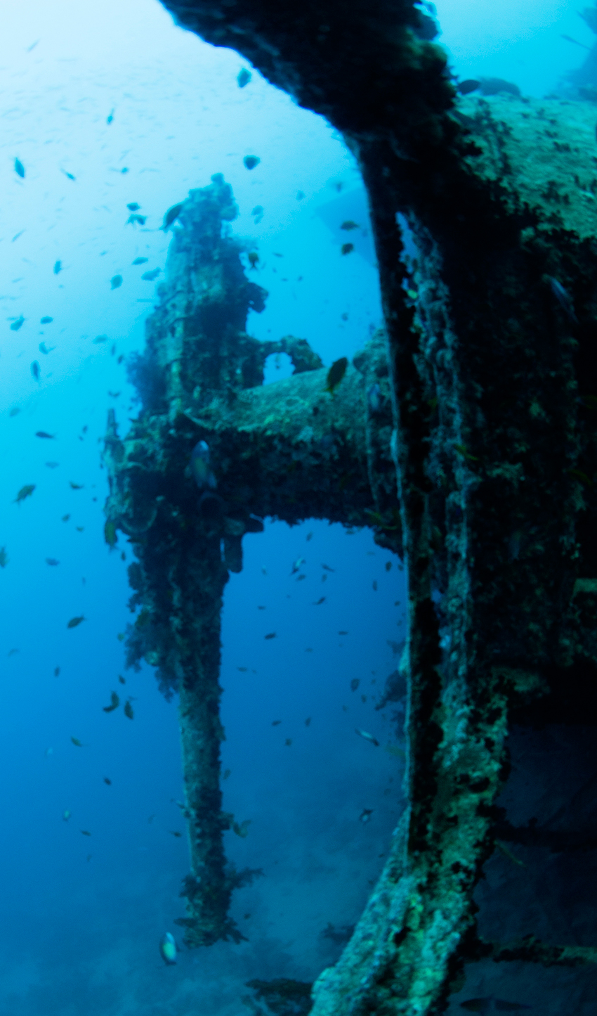 Red Sea Liveaboard Diving | Explorer Ventures Fleet® RedSea_UW3