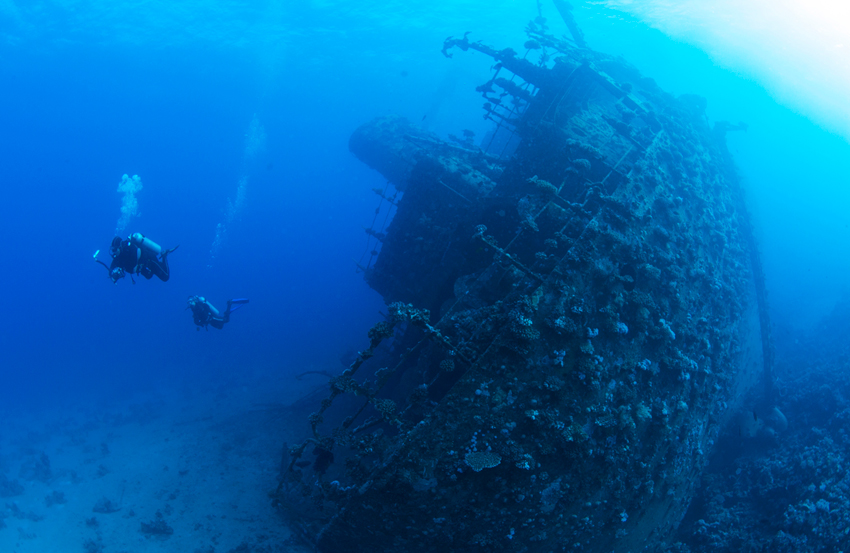 Red Sea Liveaboard Diving | Explorer Ventures Fleet® RedSea_UW8
