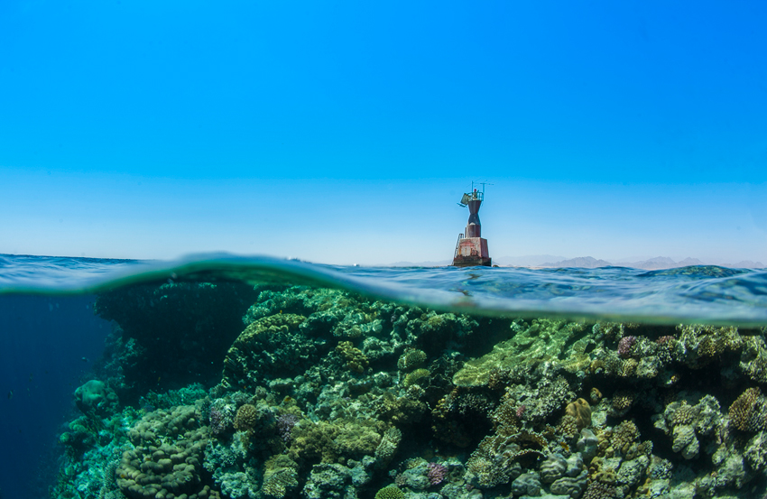Red Sea Liveaboard Diving | Explorer Ventures Fleet® RedSea_UW9
