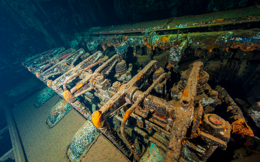 Red Sea Liveaboard Diving | Explorer Ventures Fleet® RedSea_UW_Carnatic2