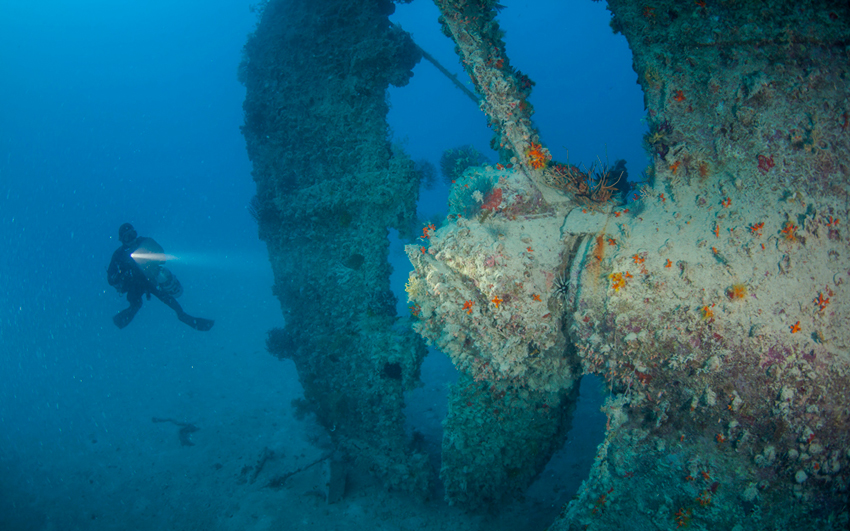 Red Sea Liveaboard Diving | Explorer Ventures Fleet® RedSea_UW_RosalieMoller1