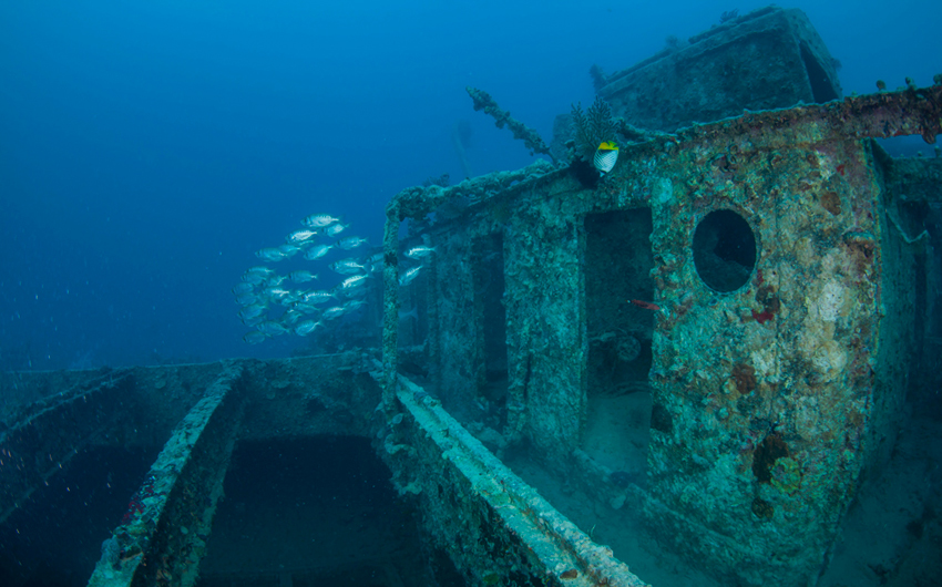 Red Sea Liveaboard Diving | Explorer Ventures Fleet® RedSea_UW_RosalieMoller2