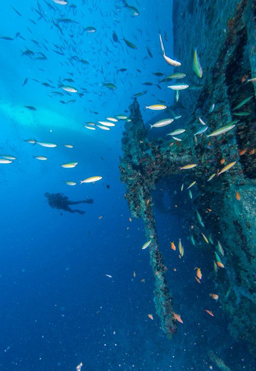 Red Sea Liveaboard Diving | Explorer Ventures Fleet® RedSea_UW_Thistlegorm1