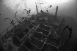 Red Sea-Numidia-big-Brother