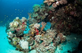 RedSea_UW17