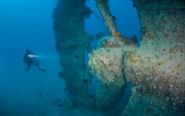 RedSea_UW_RosalieMoller1