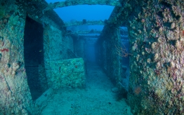 RedSea_UW_RosalieMoller3