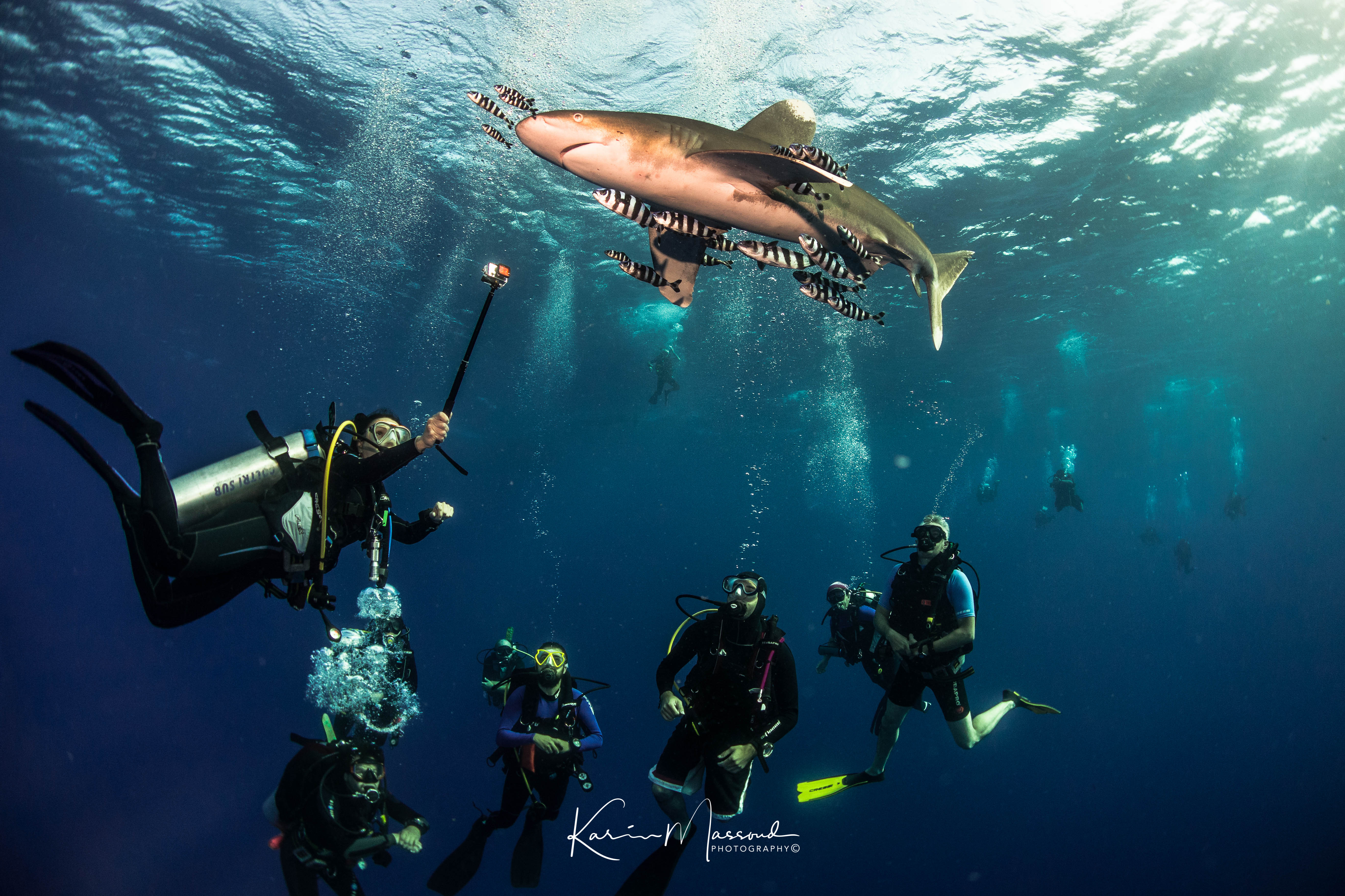 Red Sea Liveaboard Diving | Explorer Ventures Fleet® small-brothers-sea-serpent
