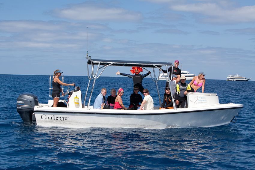 Silver Bank - Humpback Whale Expeditions | Explorer Ventures Fleet® silver_bank_038