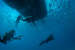 Divers-under-boat-Turks-and-Caicos-Explorer-2-Explorer-Ventures-Liveaboard-Diving Divers-under-boat-Turks-and-Caicos-Explorer-2-Explorer-Ventures-Liveaboard-Diving
