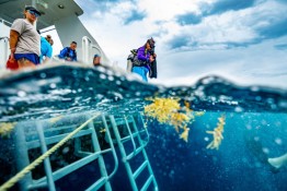 East-Caicos-2025-Patricia-Guardiola-Slattery-Photos_TC-Reef-Fund_DSC00411