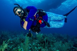 East-Caicos-2025-Patricia-Guardiola-Slattery-Photos_TC-Reef-Fund_DSC00425