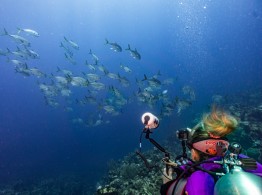 East-Caicos-2025-Patricia-Guardiola-Slattery-Photos_TC-Reef-Fund_DSC00760