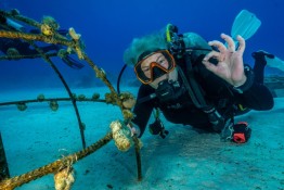 East-Caicos-2025-Patricia-Guardiola-Slattery-Photos_TC-Reef-Fund_DSC01582-Edit