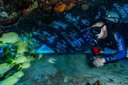 East-Caicos-2025-Patricia-Guardiola-Slattery-Photos_TC-Reef-Fund_DSC01620-Edit East-Caicos-2025-Patricia-Guardiola-Slattery-Photos_TC-Reef-Fund_DSC01620-Edit