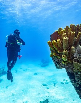 East-Caicos-2025-Patricia-Guardiola-Slattery-Photos_TC-Reef-Fund_DSC01623-Edit