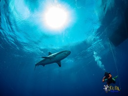 Explorer-Ventures-Turks-Caicos-Explorer-Scuba-Magician-_8040315 Explorer-Ventures-Turks-Caicos-Explorer-Scuba-Magician-_8040315
