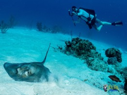 Explorer-Ventures-Turks-Caicos-Explorer-Scuba-Magician-_8040367 Explorer-Ventures-Turks-Caicos-Explorer-Scuba-Magician-_8040367