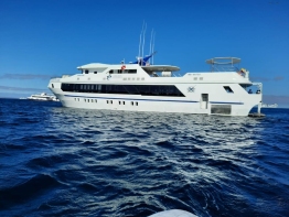 Tiburon Explorer at sea 1