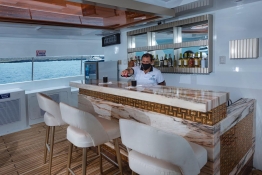 Tiburon Explorer Sun deck bar