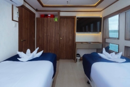 Tiburon-Explorer-main-deck-cabin6