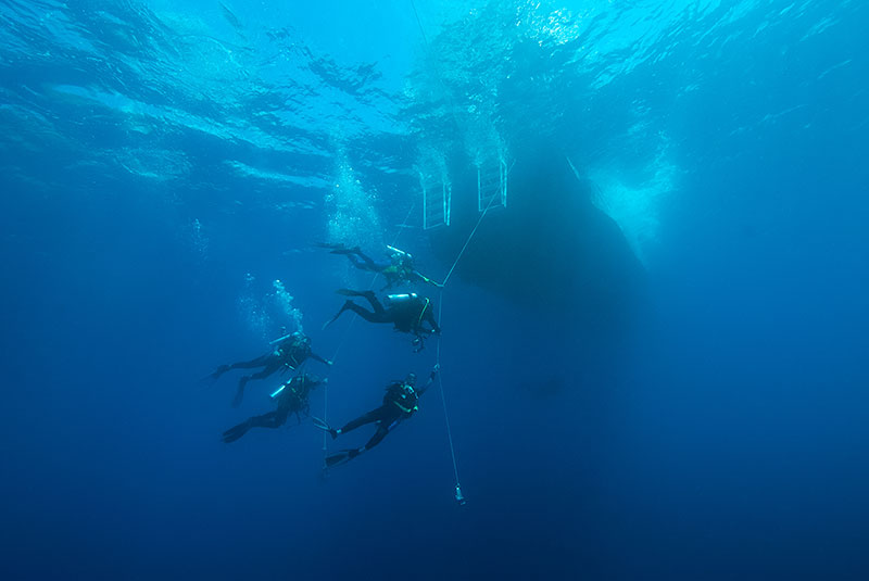 Saba & St. Kitts Liveaboard Diving | Explorer Ventures Fleet® UW-Saba-01